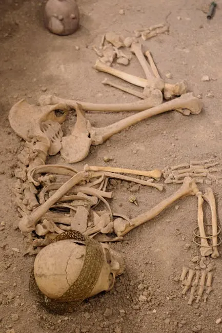 Rewriting the Timeline: What One Small Skeleton Can Reveal (Image Credits: Pexels)