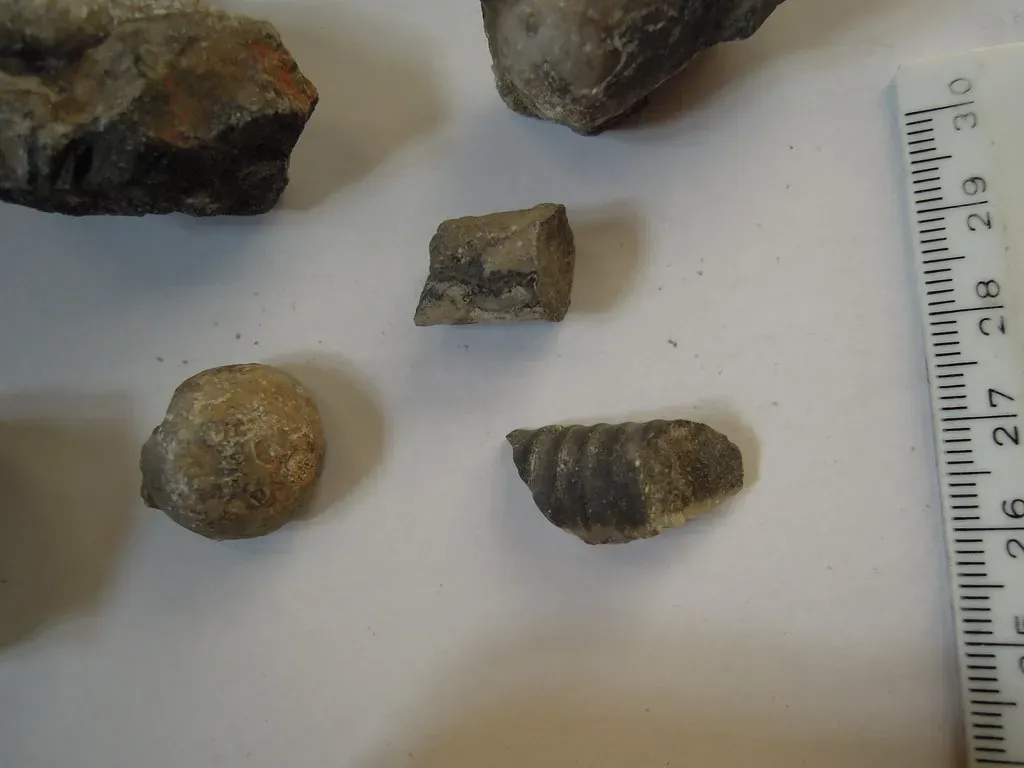 Conclusion (Image Credits: Flickr)