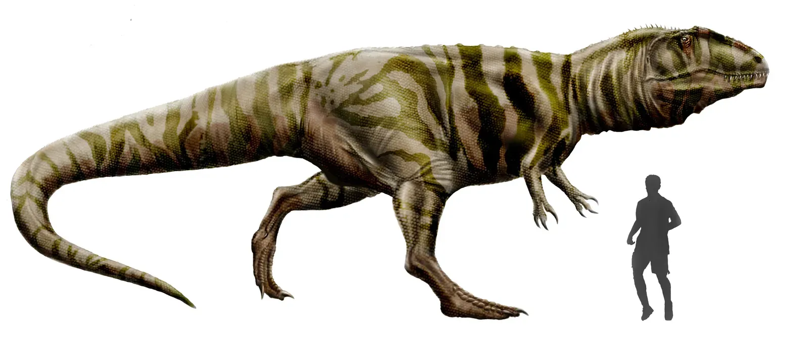 Leo - The Dramatic Showstopper: Giganotosaurus (By Durbed, CC BY-SA 3.0)