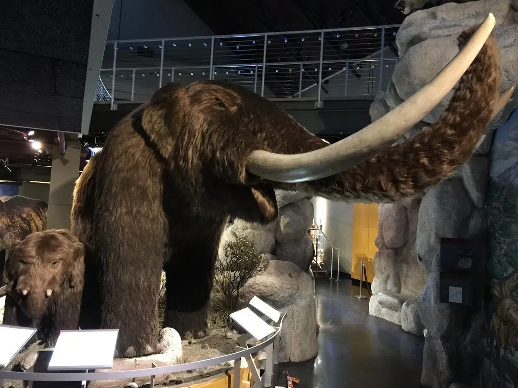 Mastodons: The Misunderstood Giants (Image Credits: Flickr)