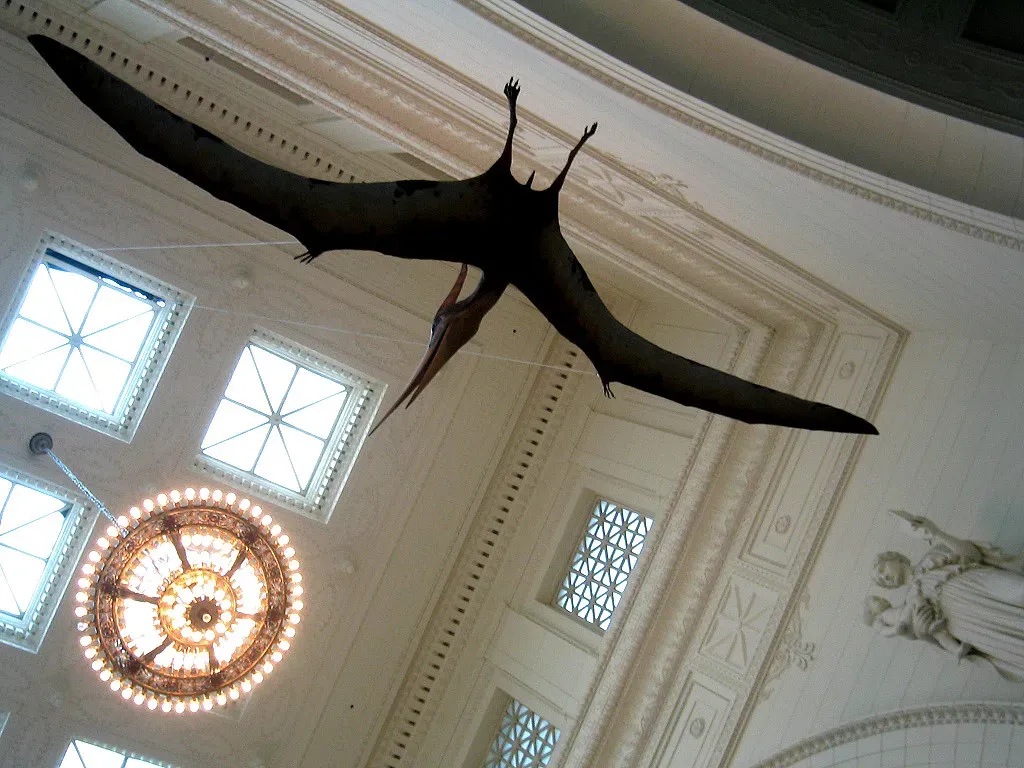 Fact 2: They Were the Very First Flying Vertebrates on Earth (get directly down, Flickr, CC BY 2.0)