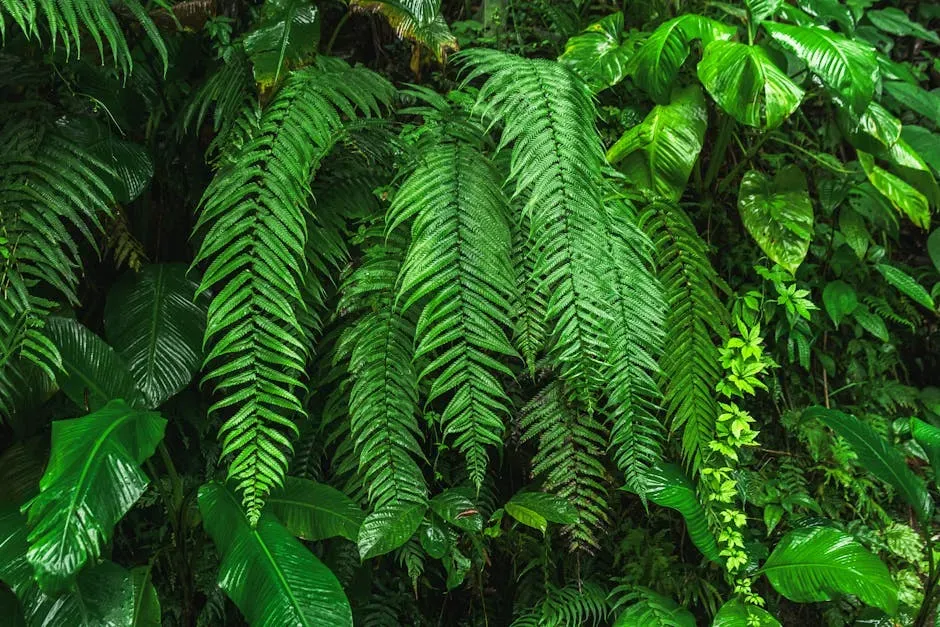 5. Ferns: The Go‑To Greens After Catastrophes (Image Credits: Pexels)