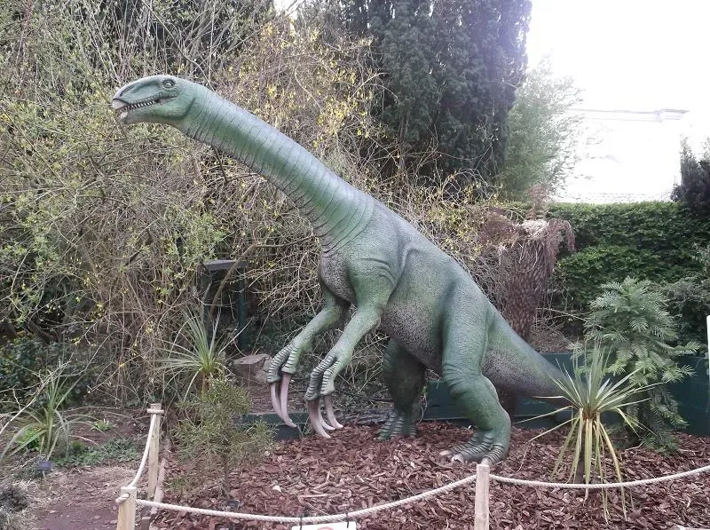 Unexpected Omnivores: Therizinosaurs and the Mixed-Menu Mystery (kindly granted by the author, CC BY-SA 4.0)