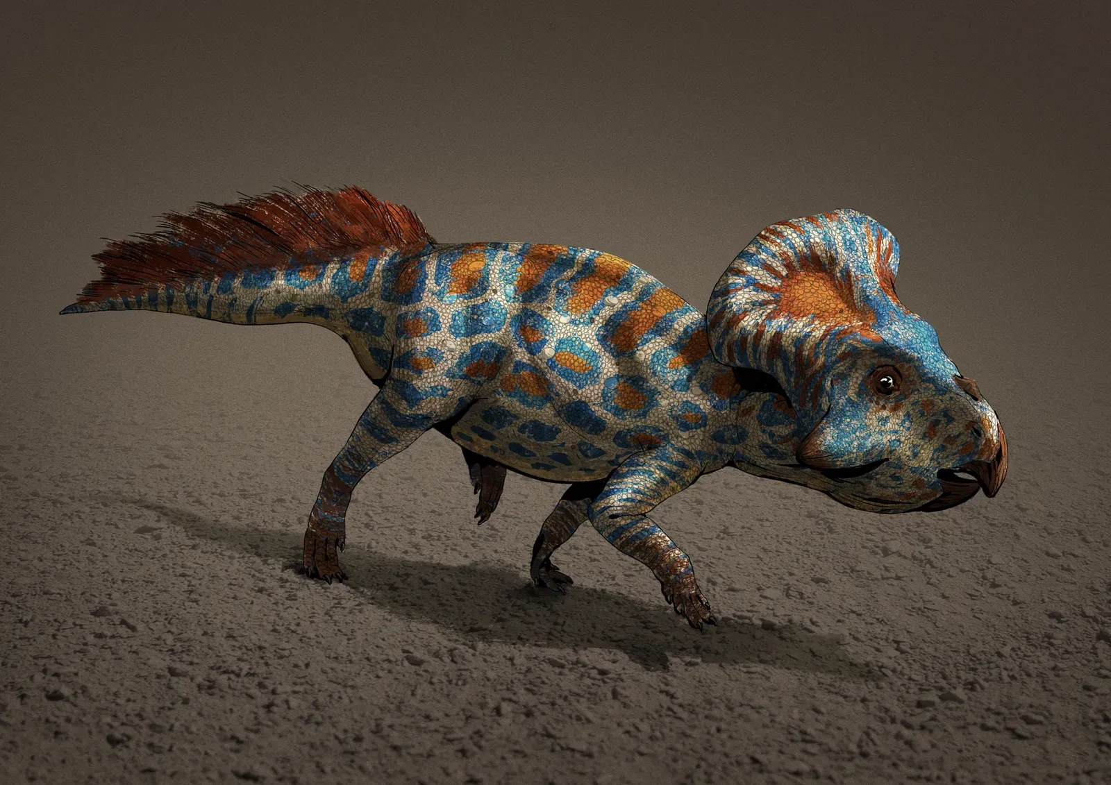 4. Protoceratops – the stubby, stubborn couch potato of the Cretaceous (By AntoninJury, CC BY-SA 4.0)