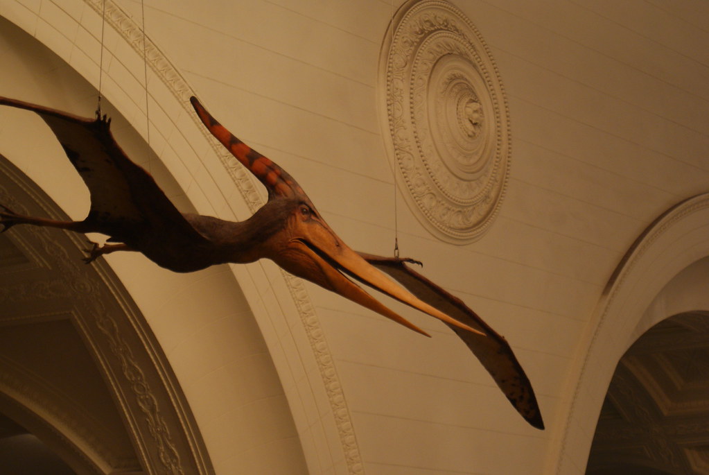 October: The Pteranodon - Free Spirit (Image Credits: Flickr)