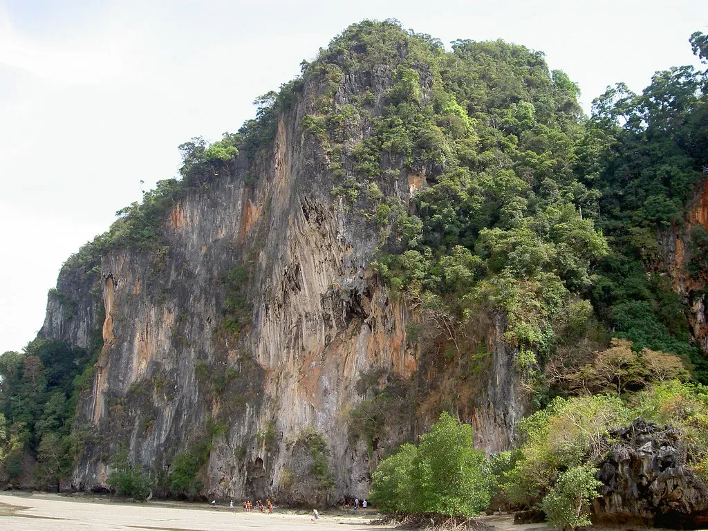 #10 Tree Roots, Soil Pockets, and Vegetation Clues in Cliff Niches (rogerblake2, Flickr, CC BY 2.0)