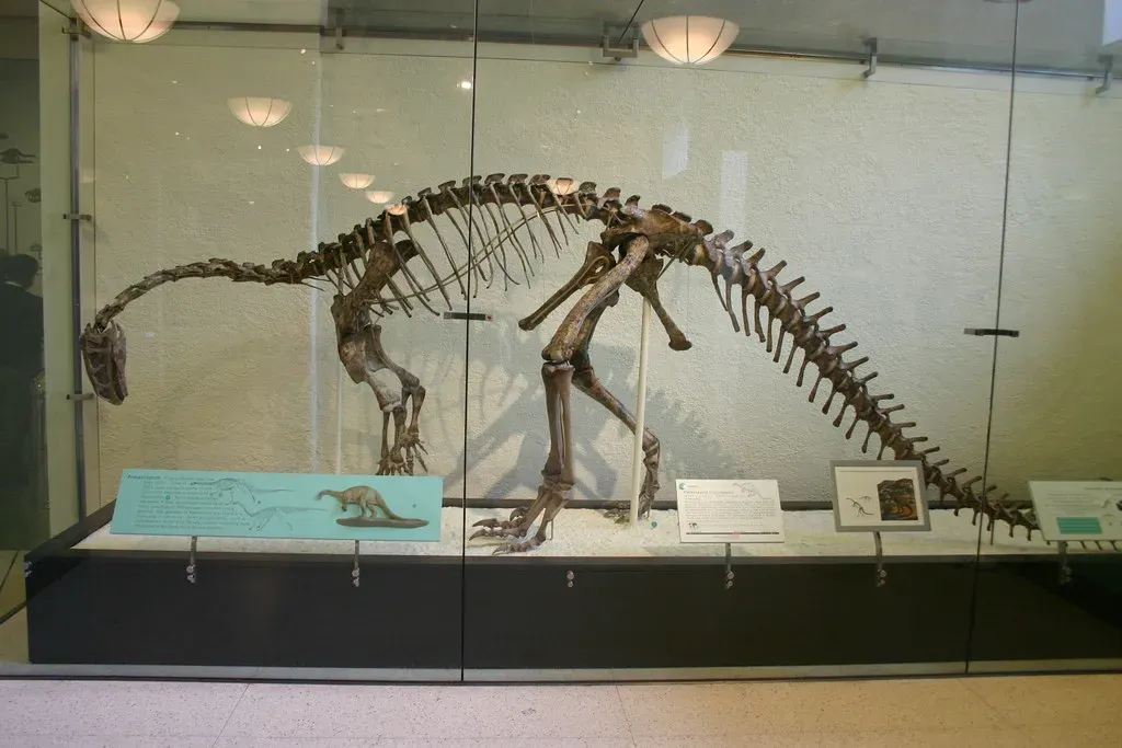 The Deep North Sea - Found During Oil Drilling (Ryan Somma, Flickr, CC BY-SA 2.0)