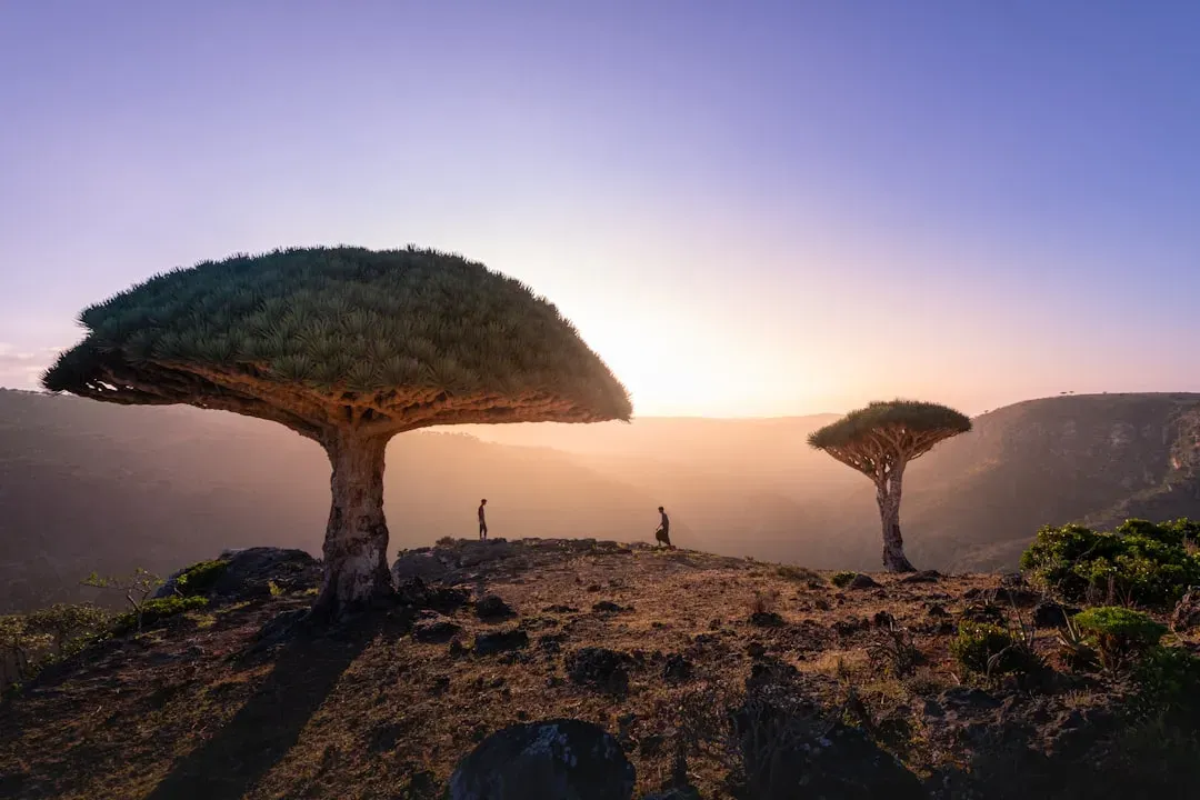 #2 - Socotra Island, Yemen (Image Credits: Unsplash)