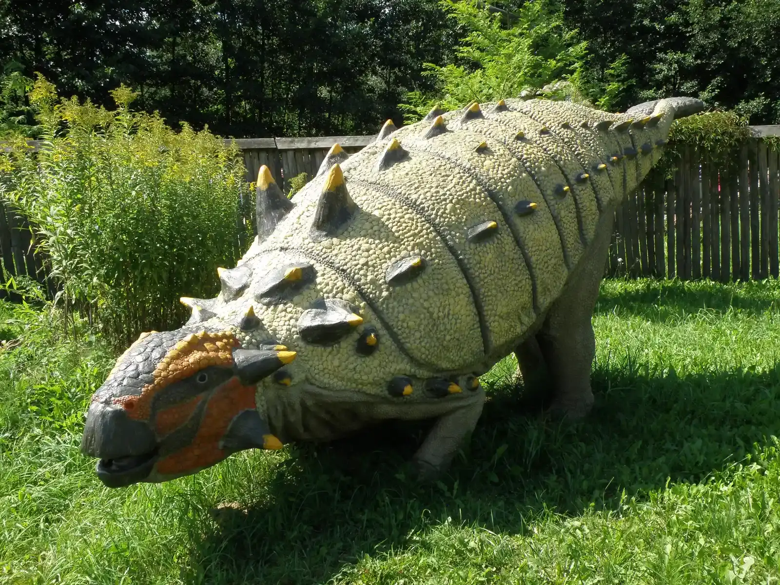 7. They Developed Remarkable Defensive Armor Against Predators (By Alina Zienowicz (Ala z), e-mail, CC BY-SA 3.0)