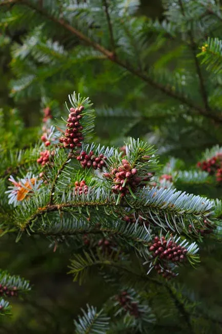 9. Early Conifers: Seed Factories That Conquered Harsh Climates (Image Credits: Pexels)