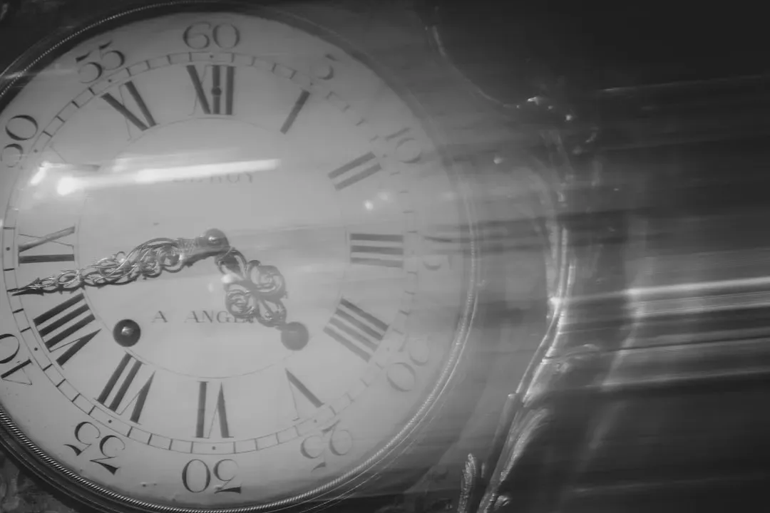 Life, Death, and How You Sense the One-Way Flow of Time (Image Credits: Unsplash)