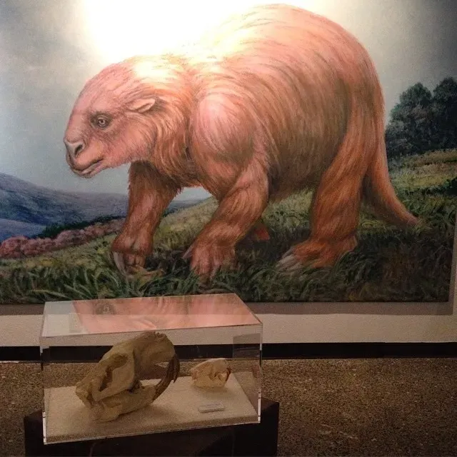 #6 - The Ground Sloth That Refused to Read the Extinction Memo (veritatem, Flickr, CC BY 2.0)