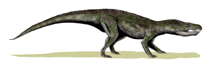 Baurusuchus - The Land-Running Terror (Image Credits: Wikimedia)