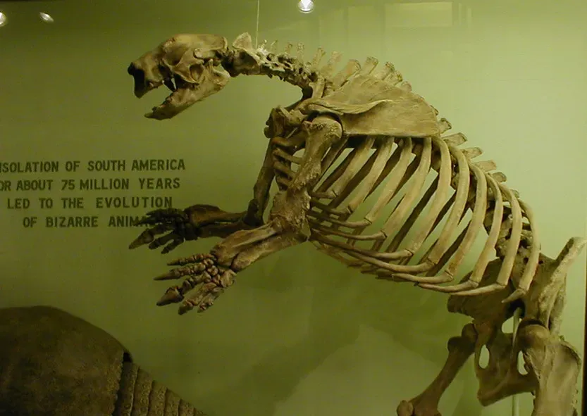 #9 - Some Giant Sloths Were Semi-Aquatic (Image Credits: Flickr)