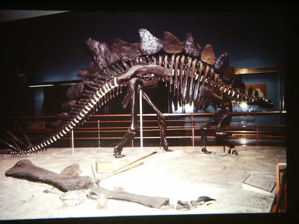 Evidence of an Ancient Life Well Lived (Image Credits: Flickr)