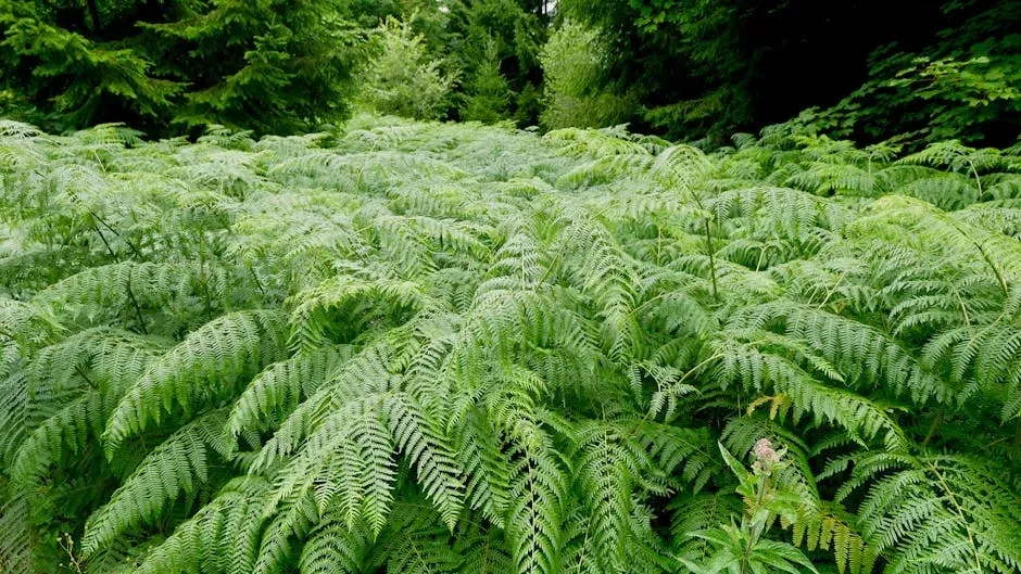 5. Poisonous Seed Fern Relatives (Pteridosperms and Allies) (Image Credits: Pexels)