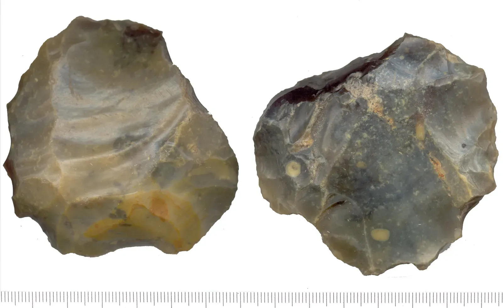 3. The Levallois Technique: Precision-Engineered Stone (By Birmingham Museums Trust, Angie Bolton, 2005-10-19 14:48:05, CC BY-SA 2.0)