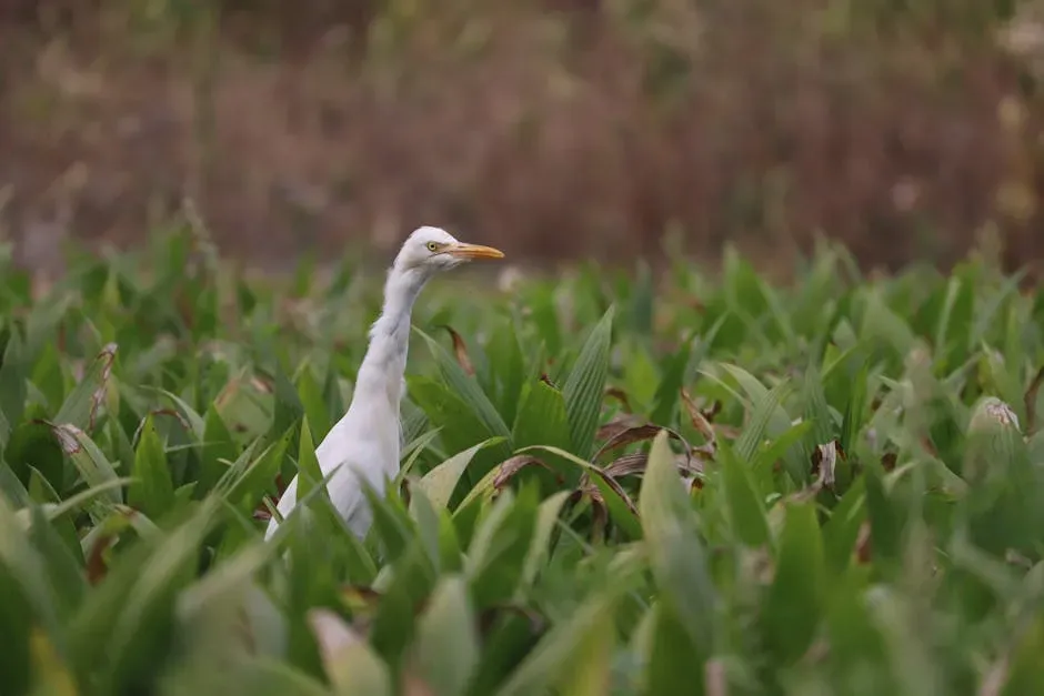 You Still Share the Planet With Living Dinosaurs (Image Credits: Pexels)