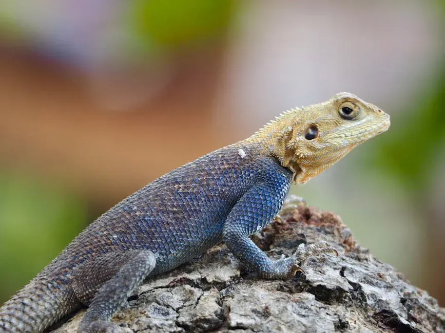 The Molecular Clue Hidden in a Scaleless Lizard (Image Credits: Pexels)
