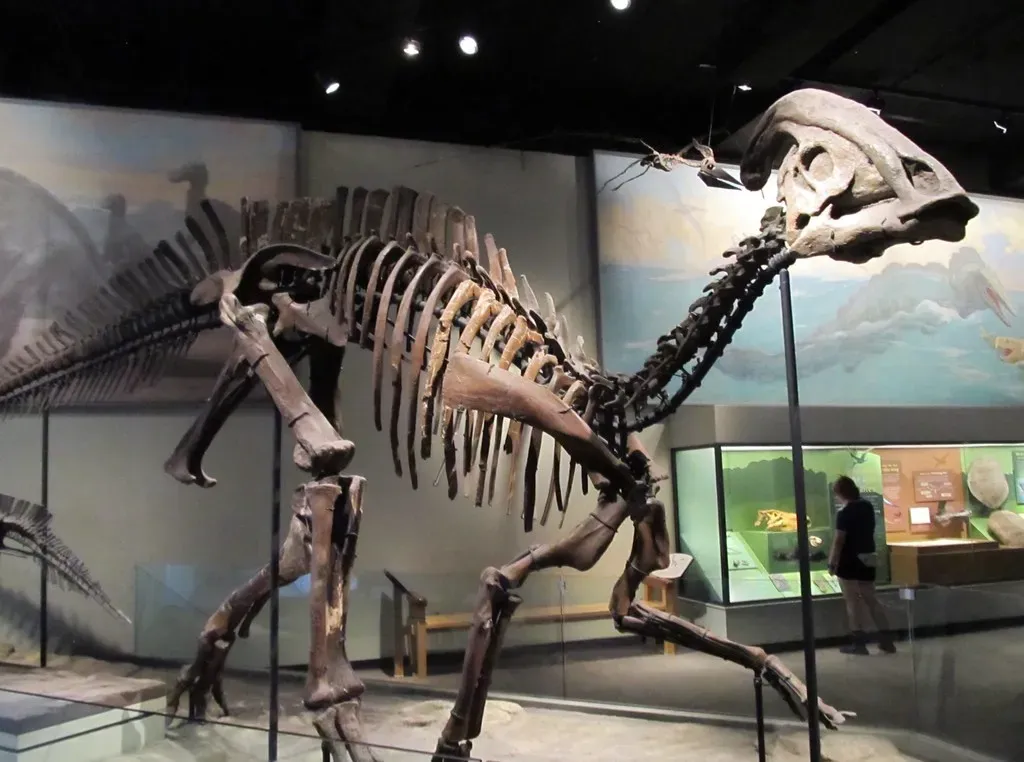 13. Hadrosaur "Duckbills" That Lost Their Webbed Feet (Image Credits: Flickr)