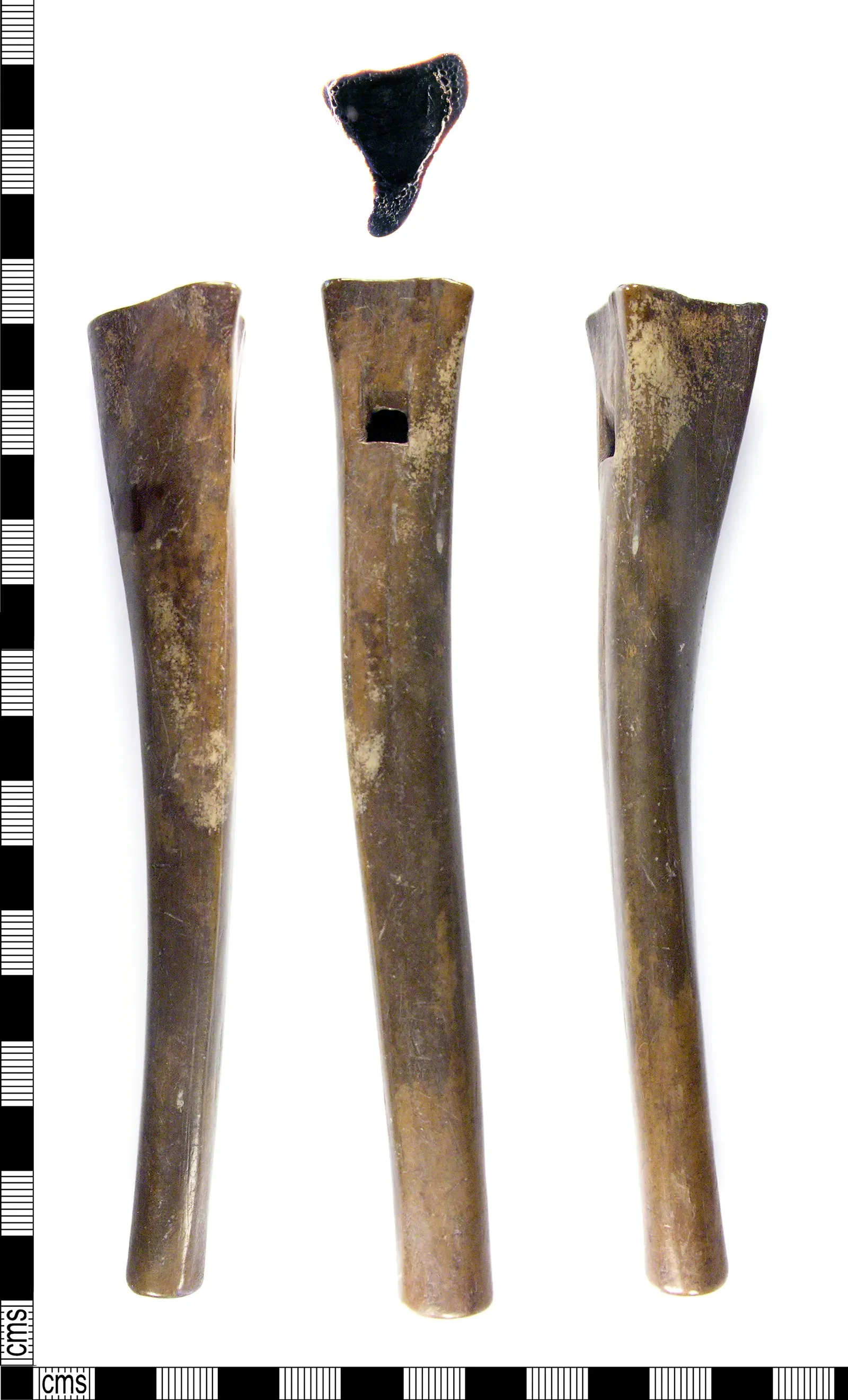 Conclusion: The Neanderthal Flute That Won’t Stop Playing in Our Heads (By Museum of London, Ben Paites, 2014-06-09 15:14:31, CC BY-SA 4.0)