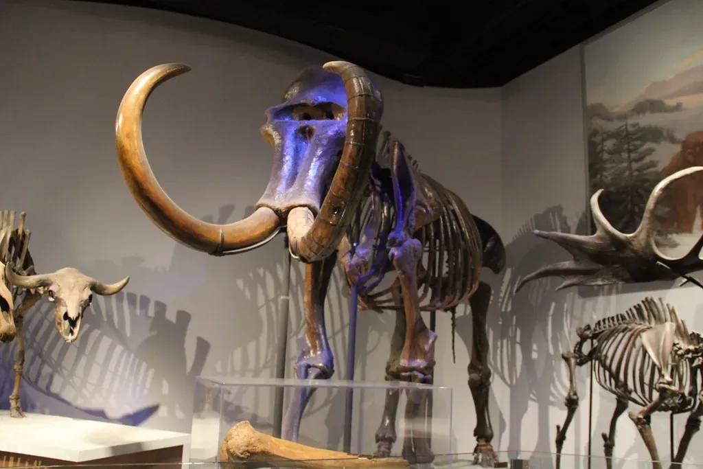 The Great Extinction: What Actually Wiped Them All Out? (Image Credits: Flickr)