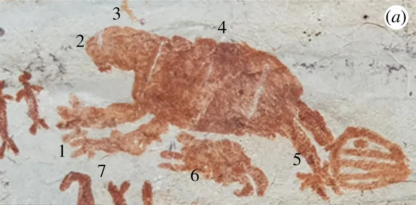 1. Rock Painters of the Colombian Amazon and Their Ice Age Bestiary (José Iriarte, Michael J. Ziegler, Alan K. Outram, Mark Robinson, Patrick Roberts, Francisco J. Aceituno, Gaspar Morcote-Ríos and T. Michael Keesey: Ice Age megafauna rock art in the Colombian Amazon? Philosophical Transactions of the Royal Society B377: 2022, pp. 20200496 (fig. 3), doi:10.1098/rstb.2020.0496, CC BY 4.0)