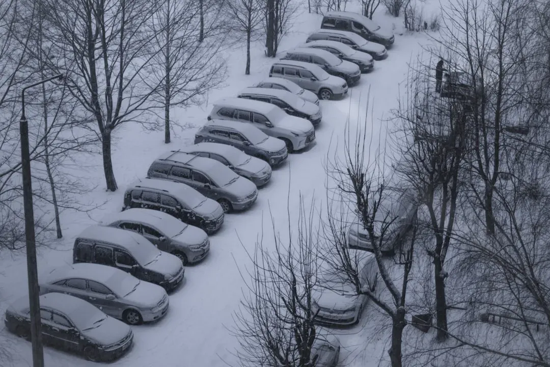#9 Car Roofs Parked Under Clear Sky vs. Under Trees (Image Credits: Unsplash)