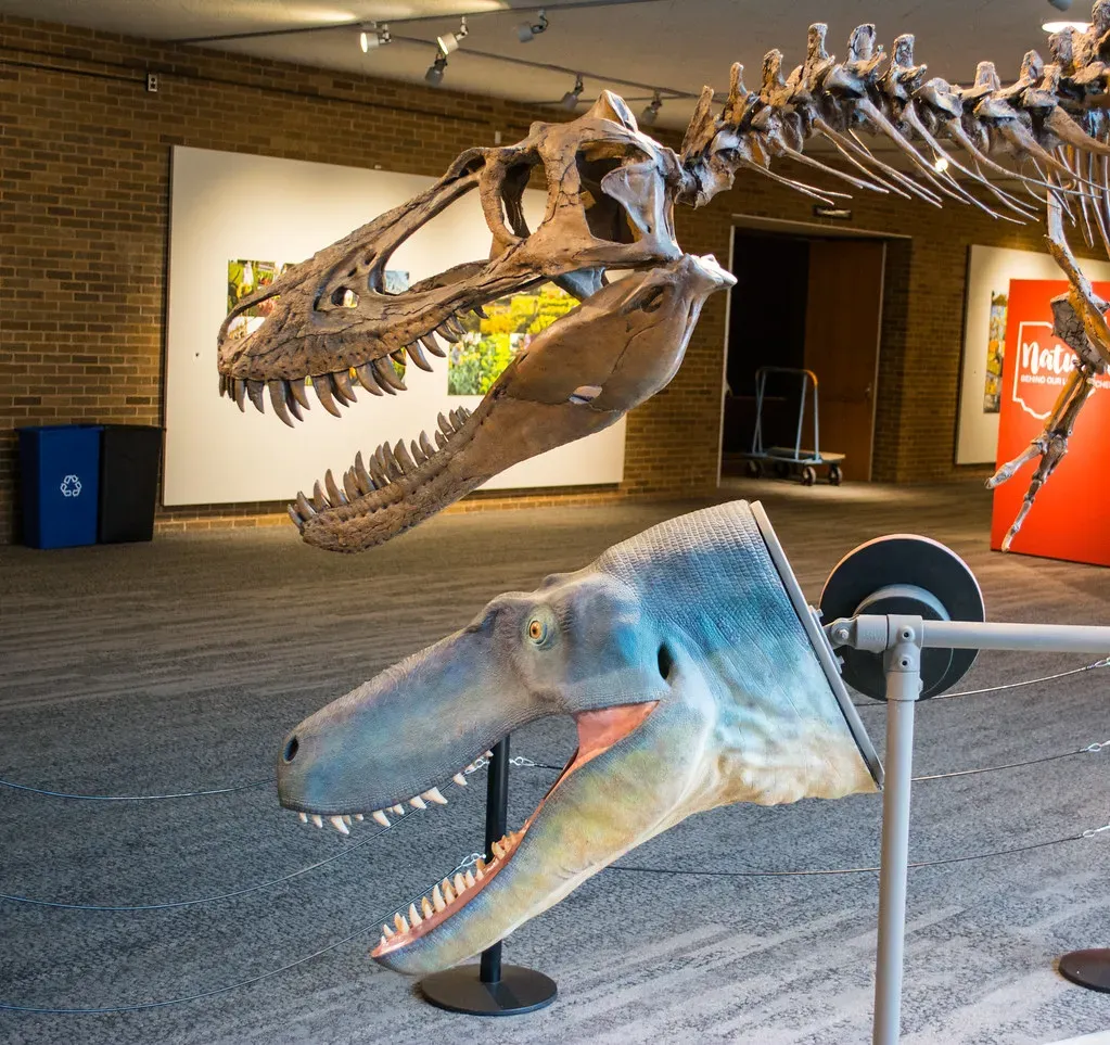 What Was Nanotyrannus: A Unique Species or Just a Teenage T. Rex? (Image Credits: Flickr)