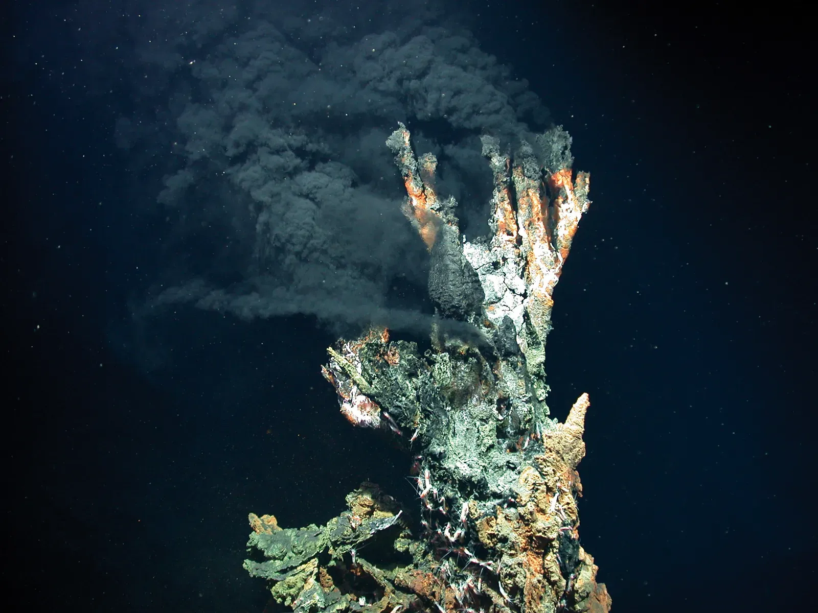 #1 - Life Keeps Showing Up in Places Scientists Once Swore Were Sterile (MARUM, CC BY 4.0)