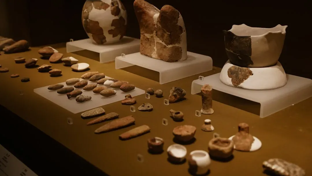 2. Some Animals Use Tools, But Early Humans Took It to a Completely New Level (Image Credits: Unsplash)