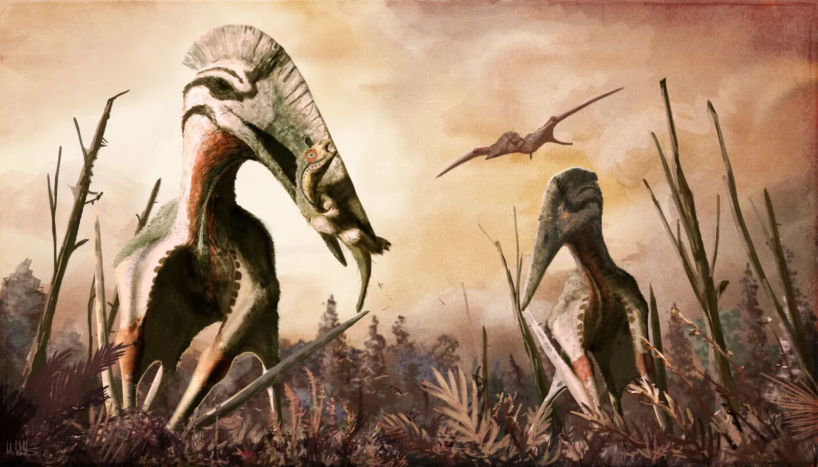 #3 - Hatzegopteryx, the Island Giant That Hunted Like a Heron From Hell (By Mark Witton, CC BY-SA 4.0)