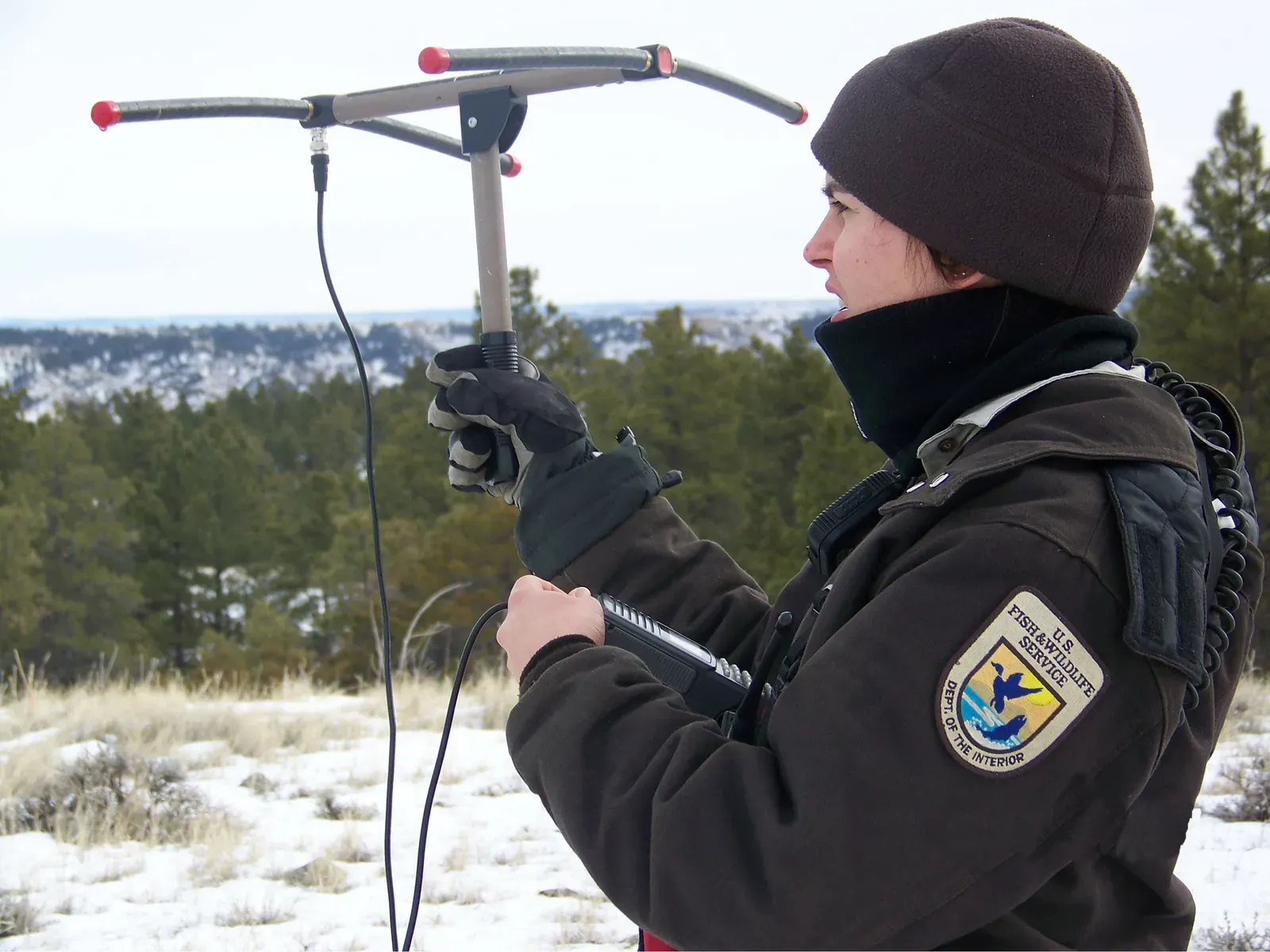 9. Parallels Between Tracking and Modern Environmental Monitoring (Tracking Mountain Lions, Public domain)