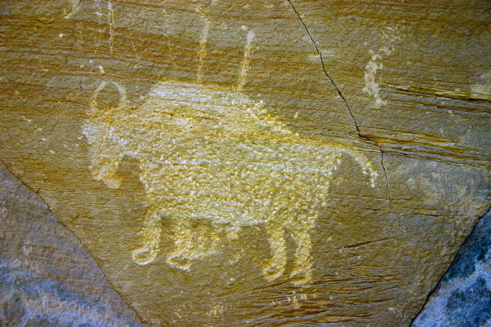 11. The Wanuskewin Ribstone Petroglyphs: Accidentally Revealed by Bison (Day 5: Bison Petroglyph, Public domain)