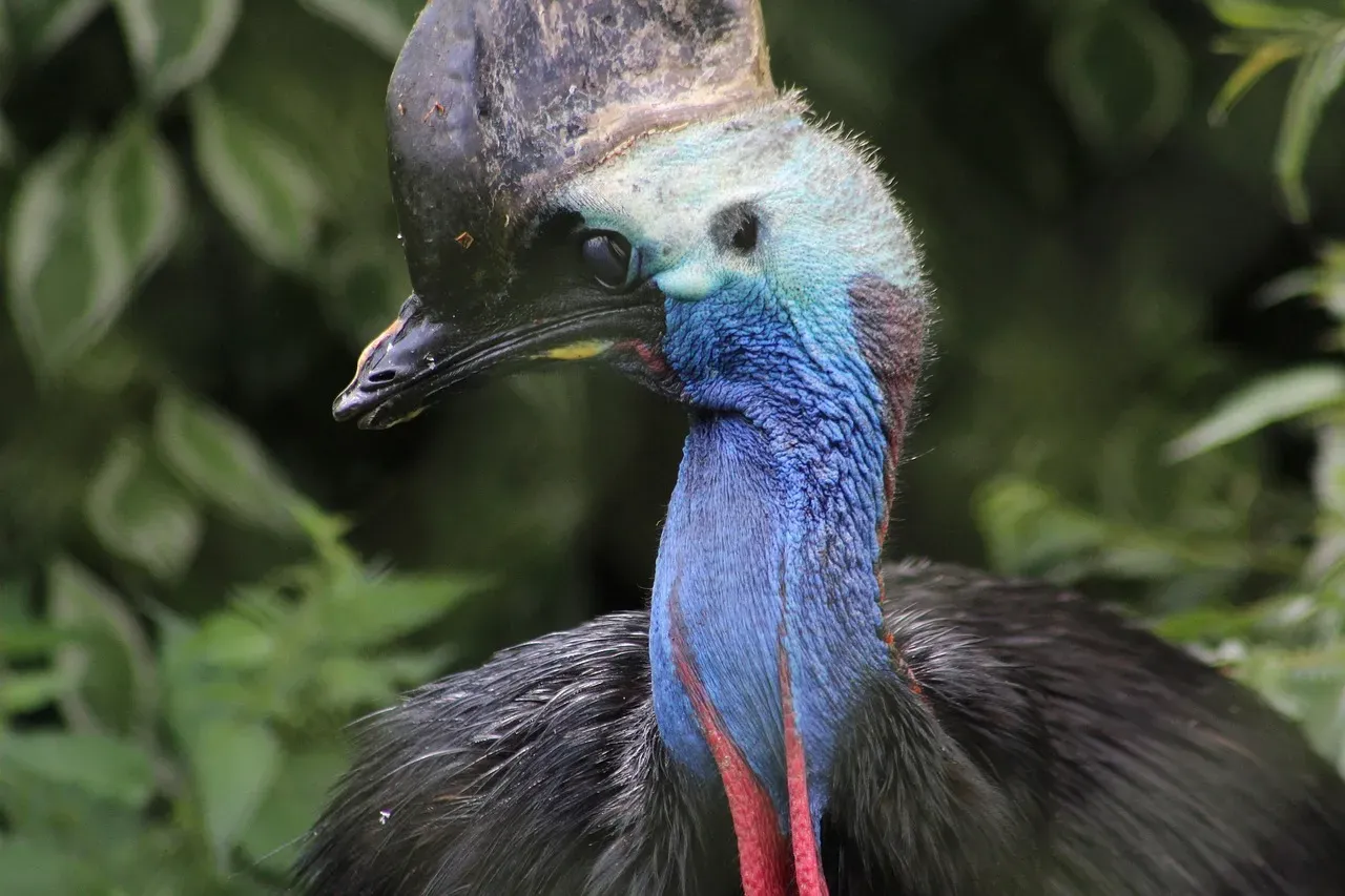 Your Backyard Birds Are Actually Dinosaurs (Image Credits: Pixabay)