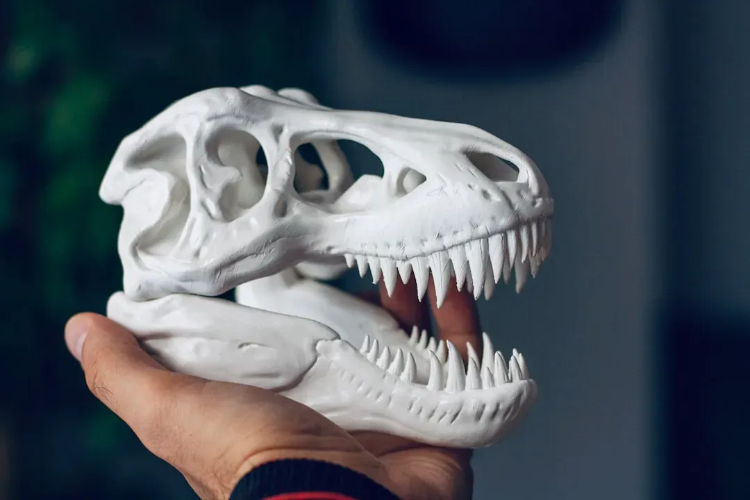 3D Printing and Digital Modeling: Holding a Dinosaur’s Skull in Your Hands (Image Credits: Unsplash)