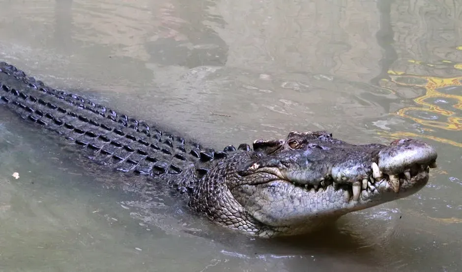 From Roars to Coos: Why Birds and Crocodiles Hold So Many Answers (Image Credits: Pexels)