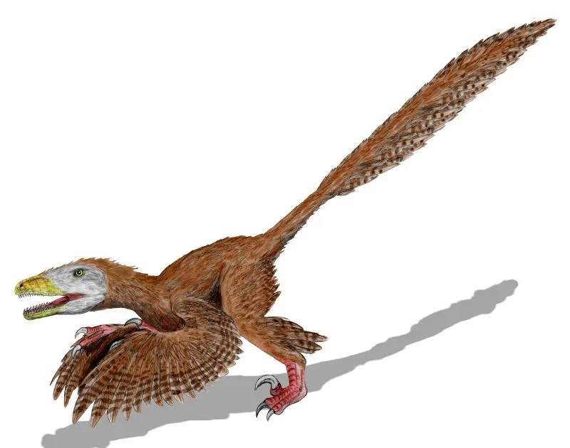 From Sluggish Reptiles to the Dinosaur Renaissance (By Nobu Tamura (http://spinops.blogspot.com), CC BY 2.5)
