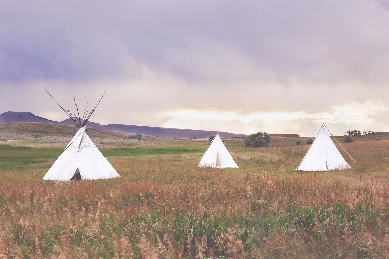 They Shaped How Native Americans Managed Landscapes (Image Credits: Pixabay)