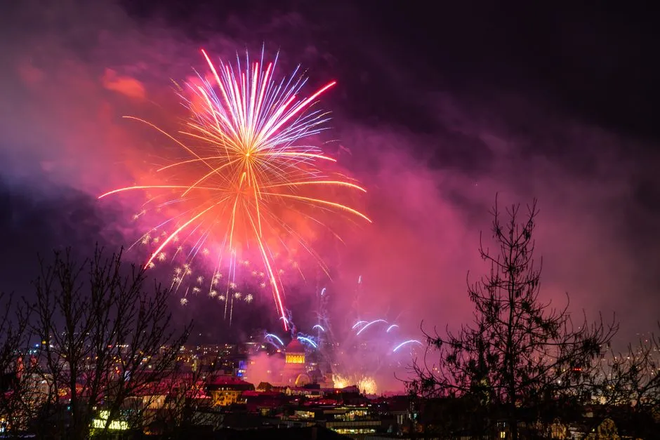 The Future: Extinction, Transformation, or a New Year? (Image Credits: Pexels)