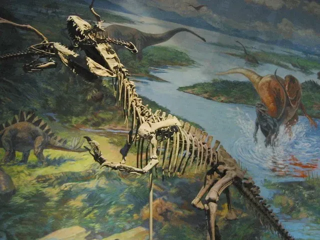 The “Death Pose” Raptors Contorted Beyond What Living Animals Could Endure (Transferred from en.wikipedia to Commons., Public domain)