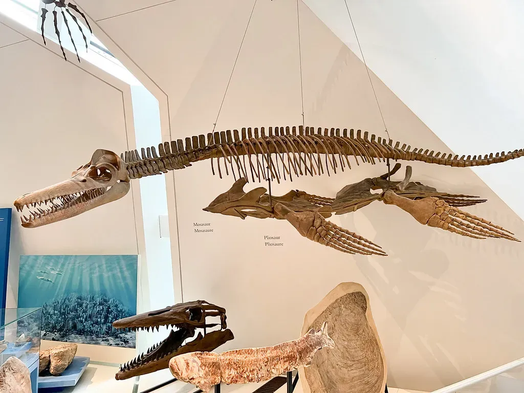 Pliosaurs Had a Bite Force Rivaling T. Rex (Image Credits: Flickr)