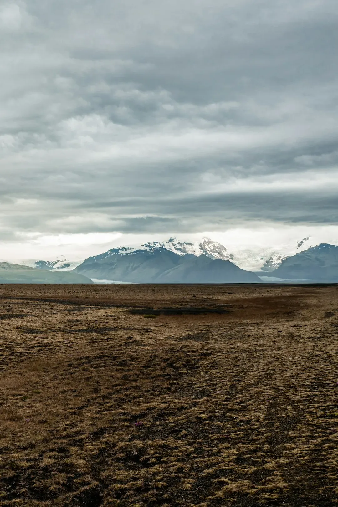 They Called the Mammoth Steppe Home (Image Credits: Unsplash)