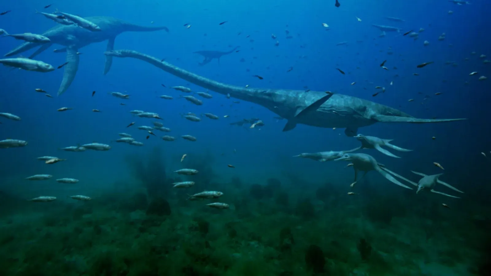 #7 - Elasmosaurus, Assembled Backwards for the Sake of Speed (styxosaurus, CC BY-SA 2.0)