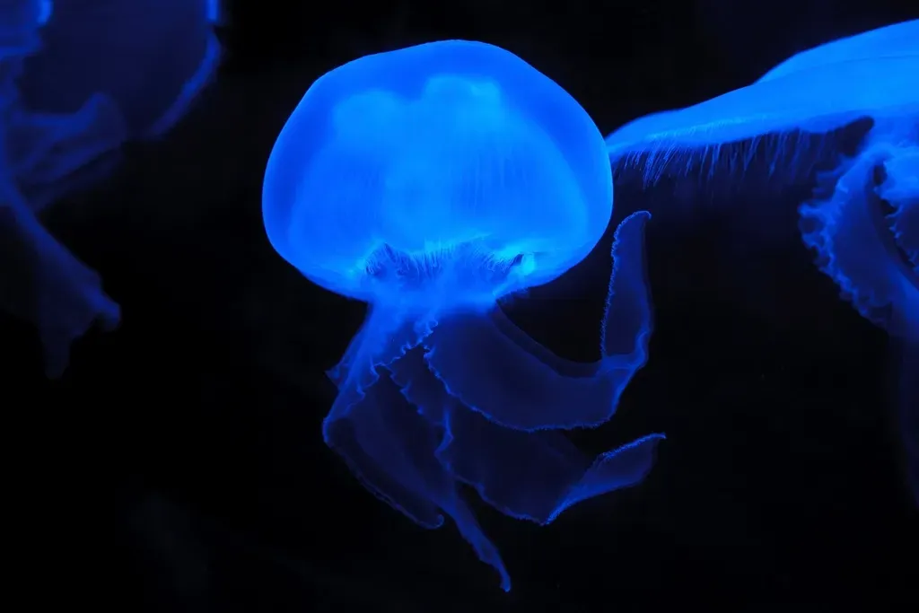 Conclusion: The Deep Sea Is Less “Impossible” Than Our Imagination (Image Credits: Rawpixel)
