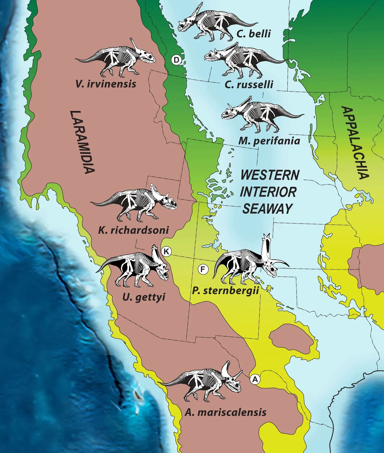 Ancient Oceans, Seaways, and the Shaping of Dinosaur Diversity (Image Credits: Wikimedia)