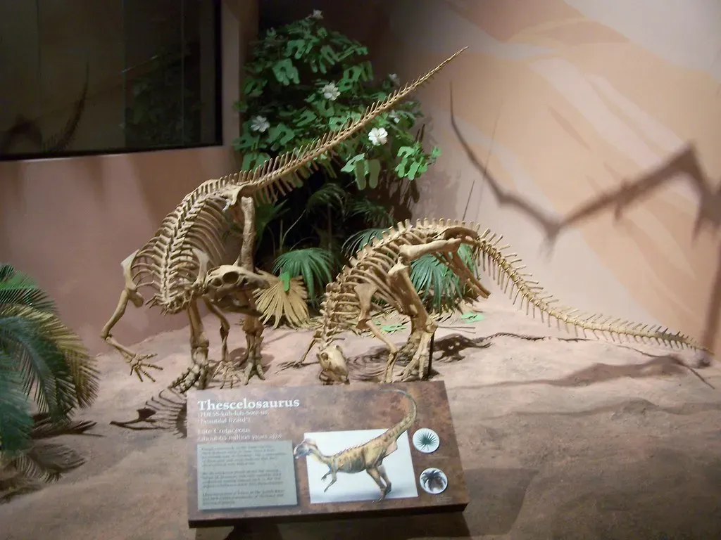 Beneath a Museum Parking Lot in Denver, Colorado (ZacharyTirrell, Flickr, CC BY-SA 2.0)