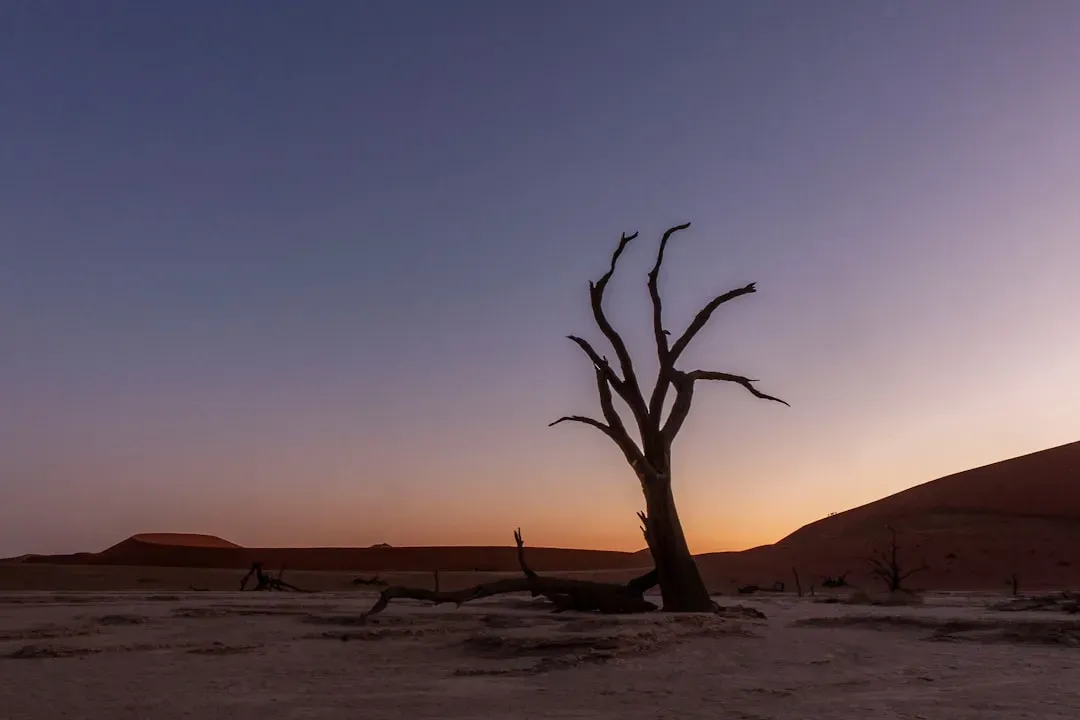 Lessons From Deep Time (Image Credits: Unsplash)