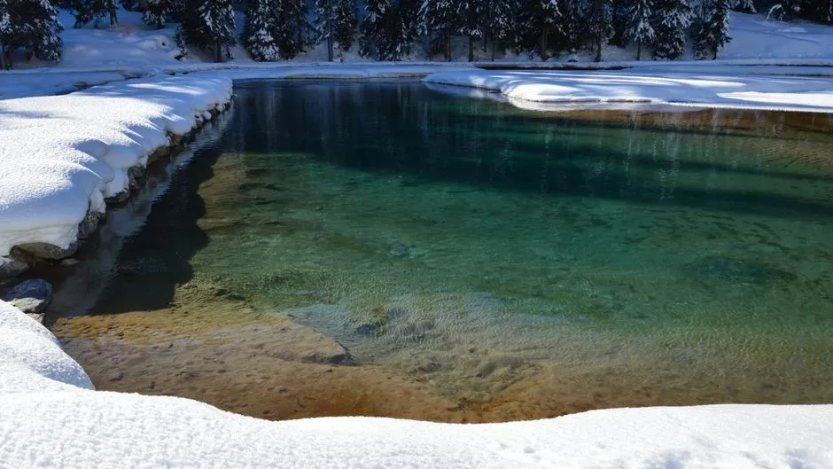 #2 Perfectly Clear Ice: The Mark of Intention and Control (Image Credits: Pexels)