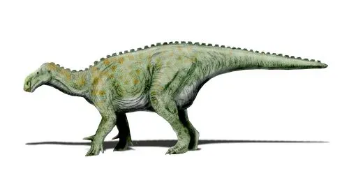 #6 - Iguanodon, the Original Dinosaur Celebrity Nobody Talks About (By Nobu Tamura http://paleoexhibit.blogspot.com/ http://spinops.blogspot.com/, CC BY-SA 3.0)